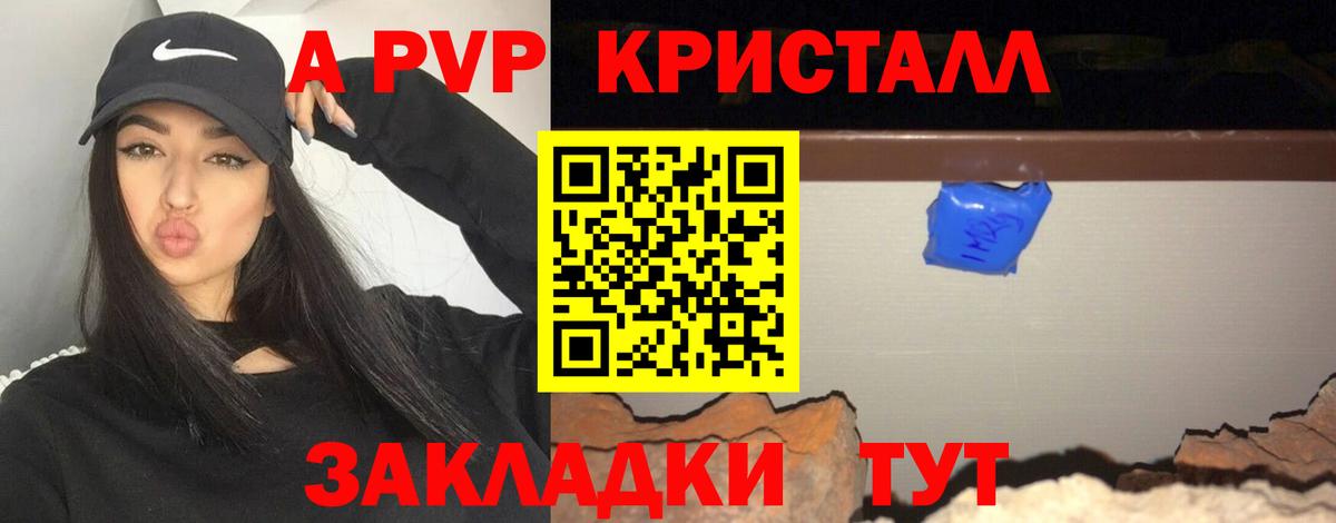 A PVP СК КРИС Сыктывкар